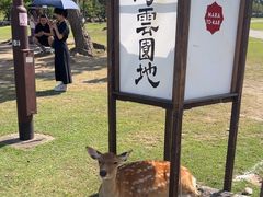 -奈良公园
