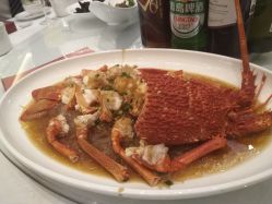 -上海雅居乐万豪侯爵酒店·宴会厅