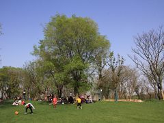 -盘龙城遗址博物院