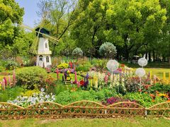 -上海共青森林公园