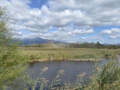 -野鸭湖国家湿地公园