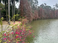 -星湖旅游景区七星岩