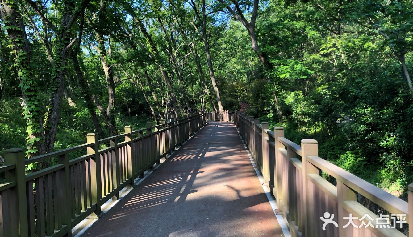 南京人很有福这个城市，有山有水