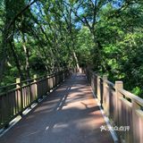 南京人很有福这个城市，有山有水