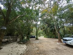 -海南热带野生动植物园