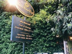 -Fern Forest Cafe
