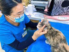 -美联众合动物医院·24h京西诊疗中心