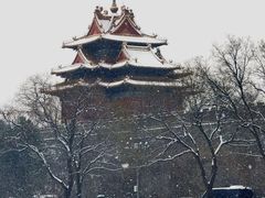 -故宫博物院(故宫)