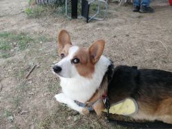 -浅山蜜塘奇妙乐园·亲子营地