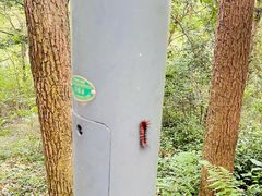 -西湖风景区-江洋畈生态公园