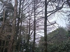 -溪口-滕头旅游景区