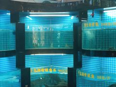 水产区-千岛湖小鱼儿·淳安匠心农家菜