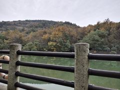 -白马涧龙池景区