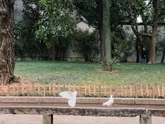 -西园戒幢律寺