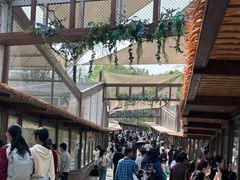 -合肥野生动物园