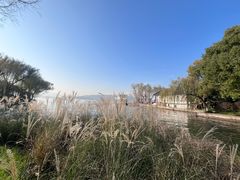 -星巴克(西湖天地店)