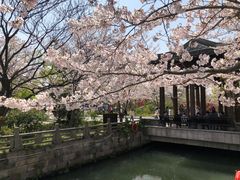 -广富林郊野公园