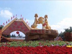 -深圳野生动物园