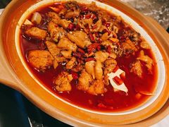 泉水肥肠鸡-雀蓝川菜(奥体广场店)