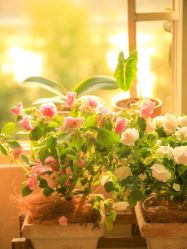 -Oasis Beauty水磨坊科技美肤中心