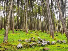 -硗碛藏寨·神木垒景区