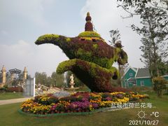 -荷兰花海