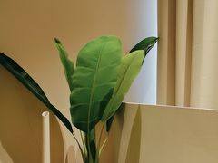 -泰乐道·SPA·按摩·足道(坡子街店)