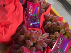 -马陆小张葡萄园农家乐