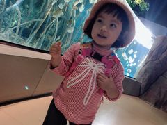 -福州罗源湾海洋世界旅游区