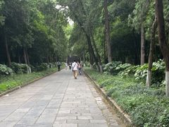 -灵谷景区
