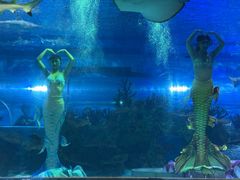 -成都浩海立方海洋公园