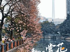 -成都市活水公园