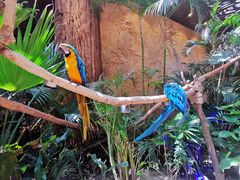 -杭州开元森泊度假乐园