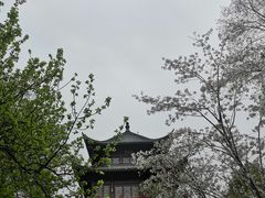 -堤角公园
