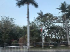 -厦门园林博览苑