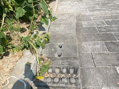 -护国天仙圣母庙