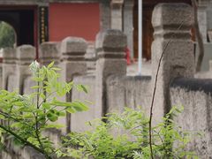 -北京凤凰岭