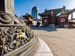 -天津大悲禅院
