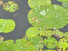 -东山雕花楼