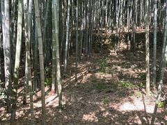 -峙山公园