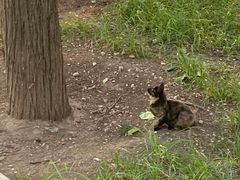 -长辛店二七公园