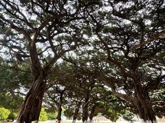 -旅顺博物馆