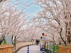 -杭州城北体育公园