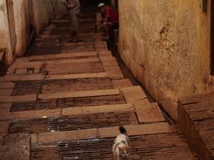 -穆莱拉赫制革厂