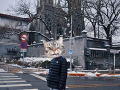 -奥华餐厅·老张记(台基厂店)