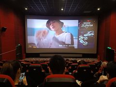 -SFC上影百联影城(八佰伴IMAX店)