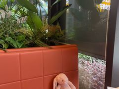 -菲滋意式餐厅(长兴东鱼坊店)