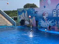 -北戴河圣蓝海洋公园