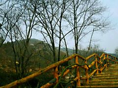 -木兰云雾山