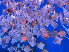 -沈阳海洋探索中心